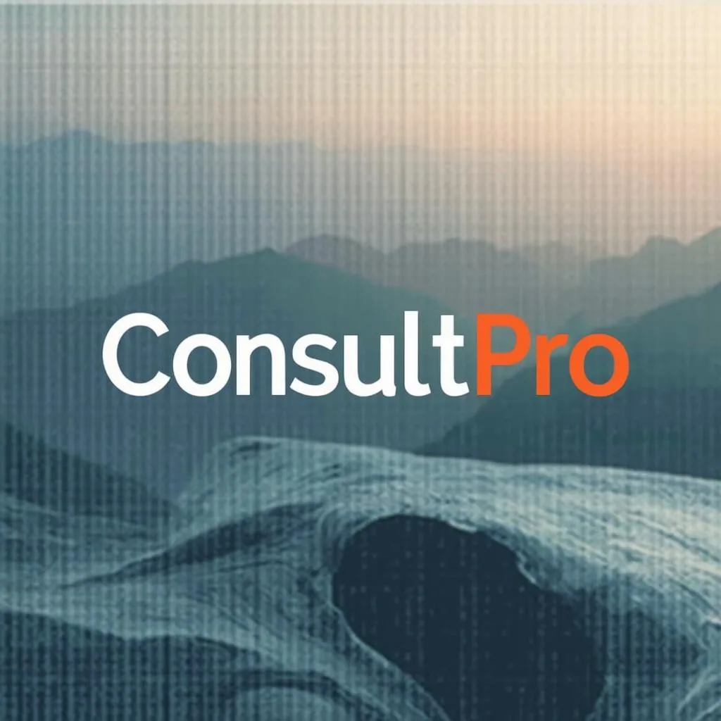ConsultPro Logo